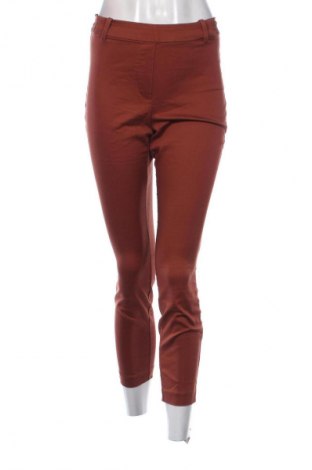 Damenhose H&M, Größe S, Farbe Braun, Preis € 8,99