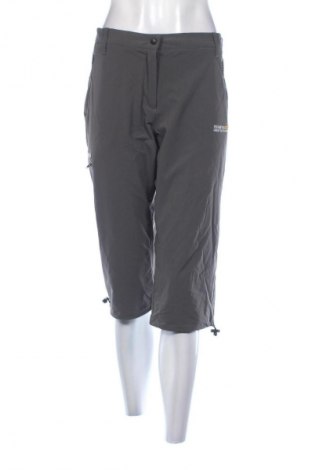 Damenhose Regatta, Größe L, Farbe Grau, Preis 20,99 €