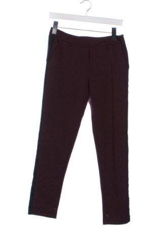 Damskie spodnie Scotch & Soda, Rozmiar XS, Kolor Czerwony, Cena 315,99 zł