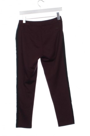 Damskie spodnie Scotch & Soda, Rozmiar XS, Kolor Czerwony, Cena 315,99 zł