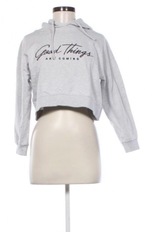Damen Sweatshirt Mango, Größe M, Farbe Silber, Preis € 13,81