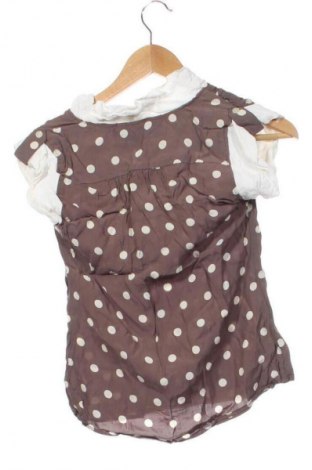Damentop Dorothy Perkins, Größe XS, Farbe Mehrfarbig, Preis 13,80 €