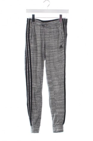Damskie spodnie sportowe Adidas, Rozmiar XS, Kolor Szary, Cena 134,99 zł
