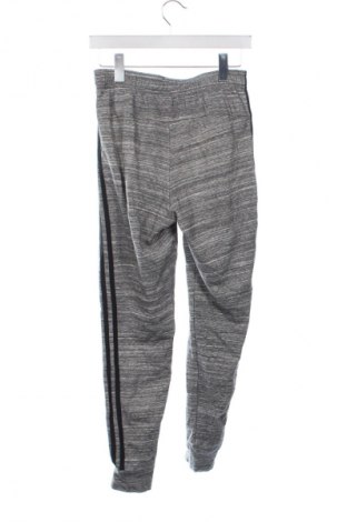 Damskie spodnie sportowe Adidas, Rozmiar XS, Kolor Szary, Cena 134,99 zł