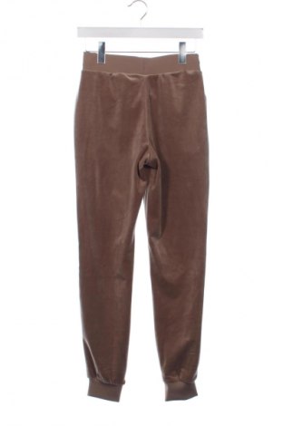 Damskie spodnie sportowe Guess, Rozmiar XS, Kolor Brązowy, Cena 459,99 zł