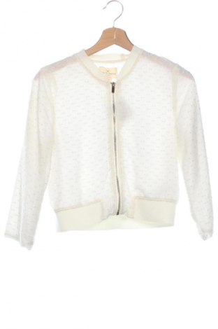 Damenjacke Holly & Whyte By Lindex, Größe XS, Farbe Ecru, Preis € 24,55