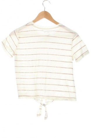 Kinder Shirt Anko, Größe 12-18m/ 80-86 cm, Farbe Mehrfarbig, Preis € 7,99