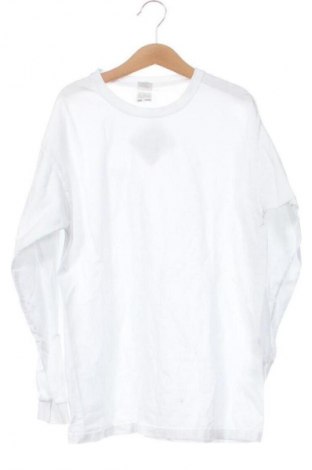 Dětská halenka  Fruit Of The Loom, Velikost 10-11y/ 146-152 cm, Barva Bílá, Cena  79,00 Kč