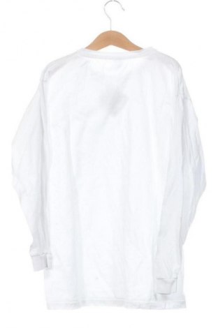 Dětská halenka  Fruit Of The Loom, Velikost 10-11y/ 146-152 cm, Barva Bílá, Cena  79,00 Kč