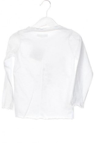 Kinder Shirt Piazza Italia, Größe 3-4y/ 104-110 cm, Farbe Mehrfarbig, Preis 2,99 €