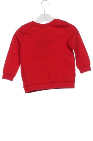 Kinder Shirt Unbranded, Größe 12-18m/ 80-86 cm, Farbe Mehrfarbig, Preis 12,79 €