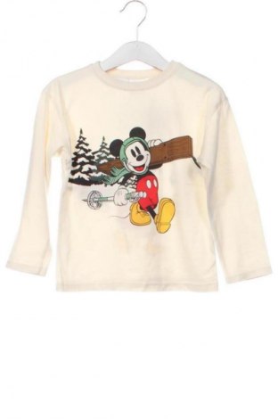 Bluză pentru copii Zara, Mărime 2-3y/ 98-104 cm, Culoare Ecru, Preț 18,99 Lei