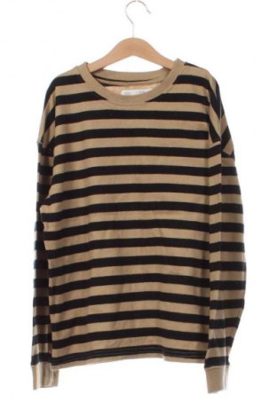 Kinder Shirt Zara, Größe 10-11y/ 146-152 cm, Farbe Mehrfarbig, Preis € 11,88