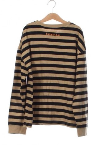 Kinder Shirt Zara, Größe 10-11y/ 146-152 cm, Farbe Mehrfarbig, Preis € 11,88