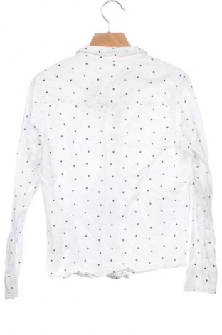 Detská košeľa  Unbranded, Veľkosť 5-6y/ 116-122 cm, Farba Viacfarebná, Cena  10,69 €