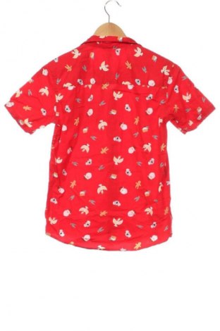 Kinderhemd Unbranded, Größe 13-14y/ 164-168 cm, Farbe Mehrfarbig, Preis € 7,99