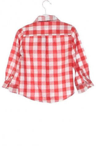 Cămașă pentru copii Zara, Mărime 2-3y/ 98-104 cm, Culoare Multicolor, Preț 18,99 Lei