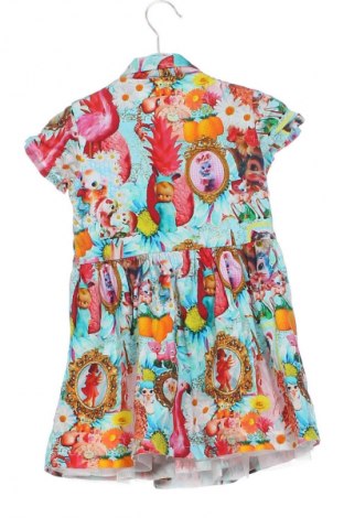 Dětské šaty  Rosalita senoritas, Velikost 2-3y/ 98-104 cm, Barva Vícebarevné, Cena  304,00 Kč