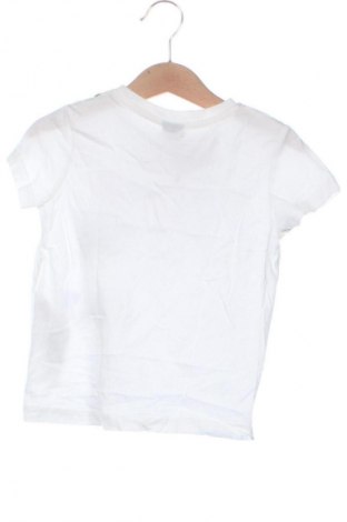 Kinder T-Shirt Kiki & Koko, Größe 18-24m/ 86-98 cm, Farbe Mehrfarbig, Preis € 6,99
