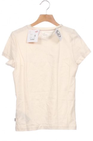 Kinder T-Shirt PUMA, Größe 10-11y/ 146-152 cm, Farbe Beige, Preis € 25,99