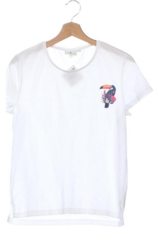 Dziecięcy T-shirt Tom Tailor, Rozmiar 14-15y/ 168-170 cm, Kolor Biały, Cena 42,41 zł