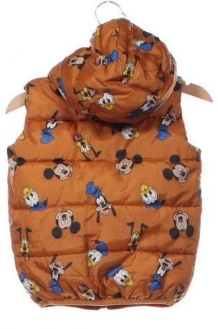 Detská vesta  Sinsay, Veľkosť 12-18m/ 80-86 cm, Farba Viacfarebná, Cena  6,95 €