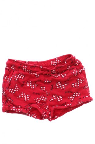Kinder Shorts Disney, Größe 2-3y/ 98-104 cm, Farbe Mehrfarbig, Preis € 7,16