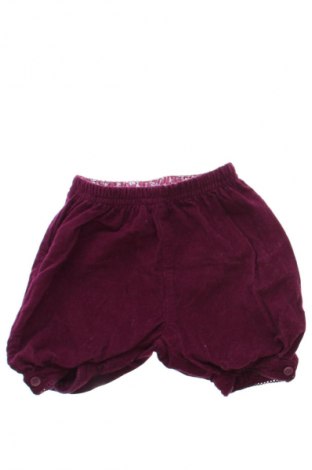 Kinder Shorts Jojo Maman Bebe, Größe 2-3m/ 56-62 cm, Farbe Lila, Preis € 9,12
