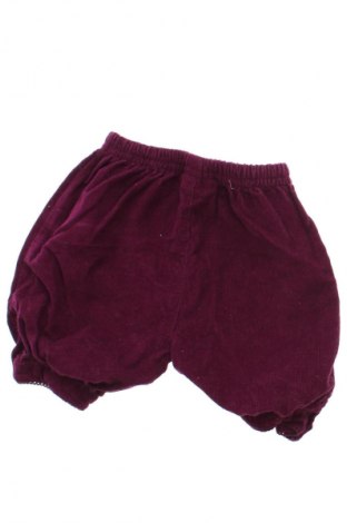 Kinder Shorts Jojo Maman Bebe, Größe 2-3m/ 56-62 cm, Farbe Lila, Preis € 9,12