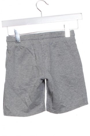 Dětské krátké kalhoty  Nickelodeon, Velikost 5-6y/ 116-122 cm, Barva Šedá, Cena  89,00 Kč