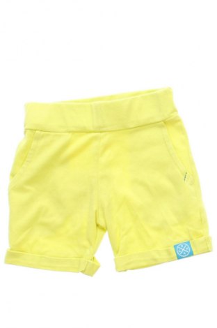 Kinder Shorts Unbranded, Größe 12-18m/ 80-86 cm, Farbe Gelb, Preis € 7,16