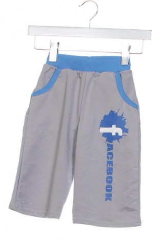 Παιδικό παντελόνι Unbranded, Μέγεθος 3-4y/ 104-110 εκ., Χρώμα Γκρί, Τιμή 10,99 €