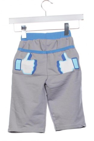 Παιδικό παντελόνι Unbranded, Μέγεθος 3-4y/ 104-110 εκ., Χρώμα Γκρί, Τιμή 10,99 €