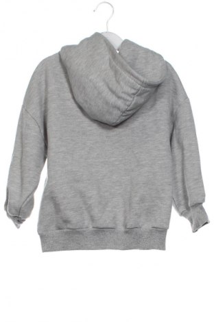 Dětská mikina  Zara, Velikost 5-6y/ 116-122 cm, Barva Šedá, Cena  119,00 Kč