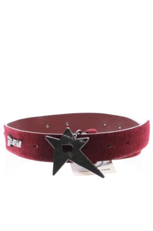 Gürtel Review, Farbe Rot, Preis 24,99 €