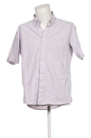 Herrenhemd Cotton Traders, Größe L, Farbe Mehrfarbig, Preis € 17,39