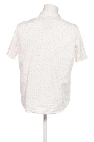 Herrenhemd Tom Tailor, Größe L, Farbe Mehrfarbig, Preis € 14,99