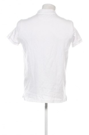 Herren T-Shirt American Eagle, Größe M, Farbe Weiß, Preis € 10,00