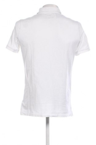 Pánské tričko  Calvin Klein Jeans, Velikost L, Barva Bílá, Cena  619,00 Kč