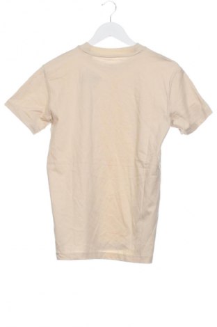 Herren T-Shirt Esprit, Größe XS, Farbe Beige, Preis 23,99 €