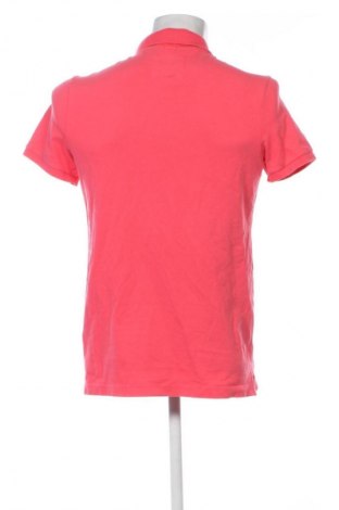 Herren T-Shirt Hollister, Größe M, Farbe Rosa, Preis € 13,99