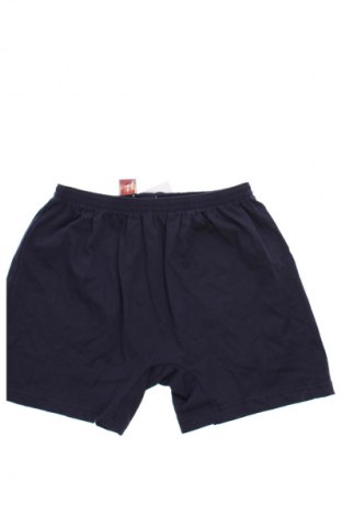 Boxershorts Unbranded, Größe XL, Farbe Blau, Preis € 4,99