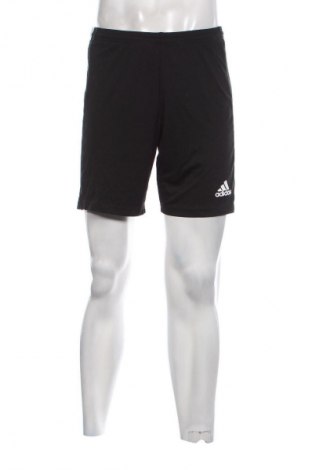 Herren Shorts Adidas, Größe M, Farbe Schwarz, Preis 17,00 €