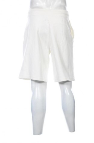 Herren Shorts Calvin Klein, Größe M, Farbe Weiß, Preis € 38,99