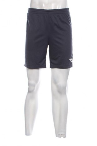 Ανδρικό κοντό παντελόνι Diadora, Μέγεθος S, Χρώμα Γκρί, Τιμή 21,99 €