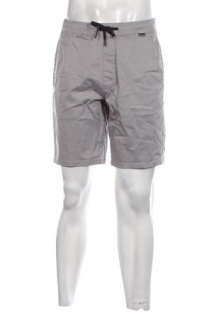 Pánske kraťasy  Hollister, Veľkosť M, Farba Sivá, Cena  19,95 €