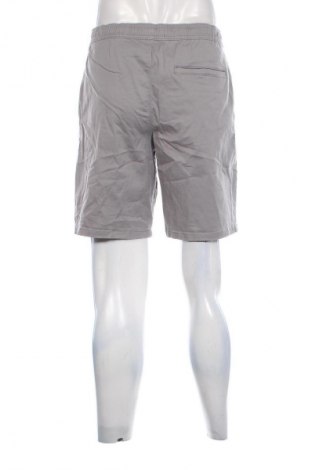 Pánske kraťasy  Hollister, Veľkosť M, Farba Sivá, Cena  19,95 €