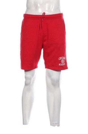 Herren Shorts Terranova, Größe M, Farbe Rot, Preis 9,72 €