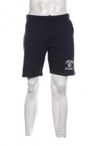 Herren Shorts Terranova, Größe M, Farbe Blau, Preis 9,72 €