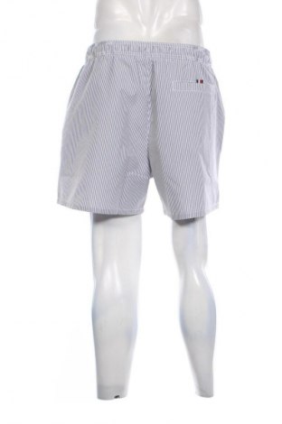 Herren Shorts Tommy Hilfiger, Größe XL, Farbe Mehrfarbig, Preis 109,99 €